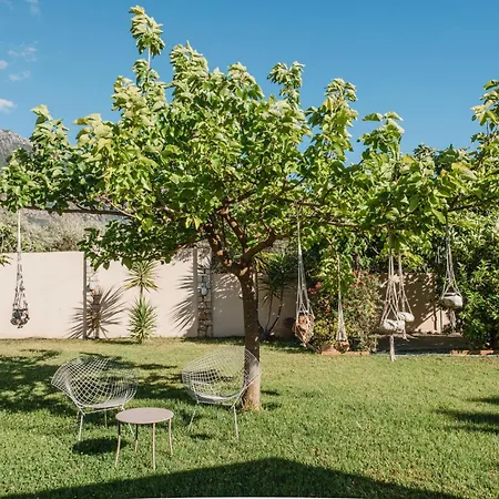 Anamnesis. Feel The Mediterranean.