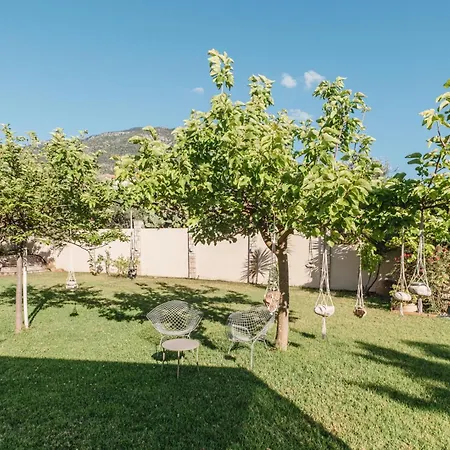 Anamnesis. Feel The Mediterranean. * カラマタ