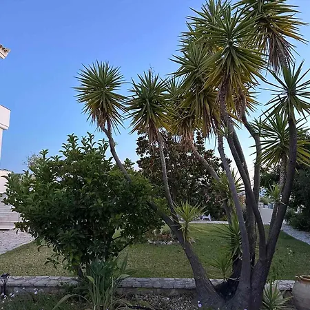 Anamnesis. Feel The Mediterranean. ヴィラ