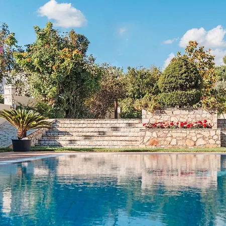 Anamnesis. Feel The Mediterranean. *