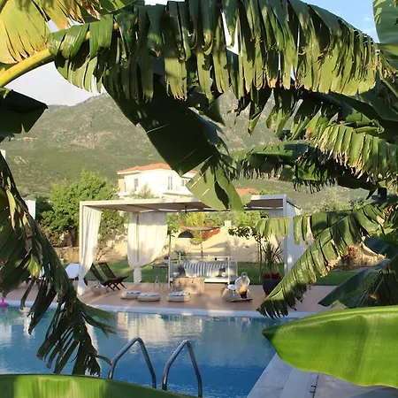 Anamnesis. Feel The Mediterranean. Каламата