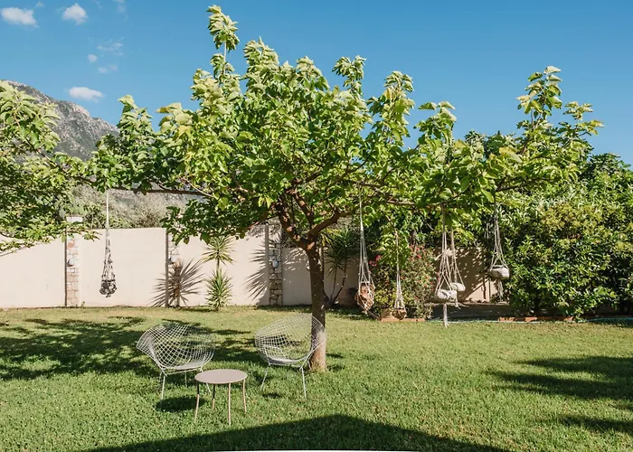 Anamnesis. Feel The Mediterranean.