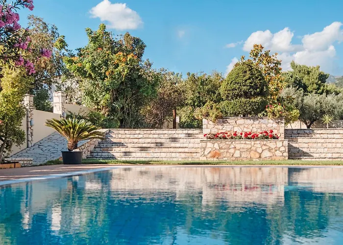 Anamnesis. Feel The Mediterranean. *