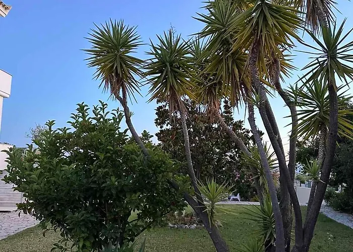 Anamnesis. Feel The Mediterranean. Villa